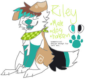 temporary riley ref