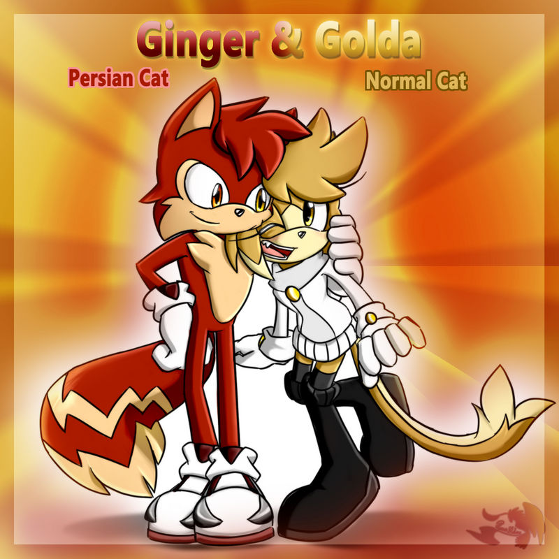 .: PSAL Couple: Ginger and Golda :.