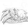 .:New Sonic style -Sonamy:.