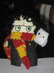 Harry Potter + Hedwig