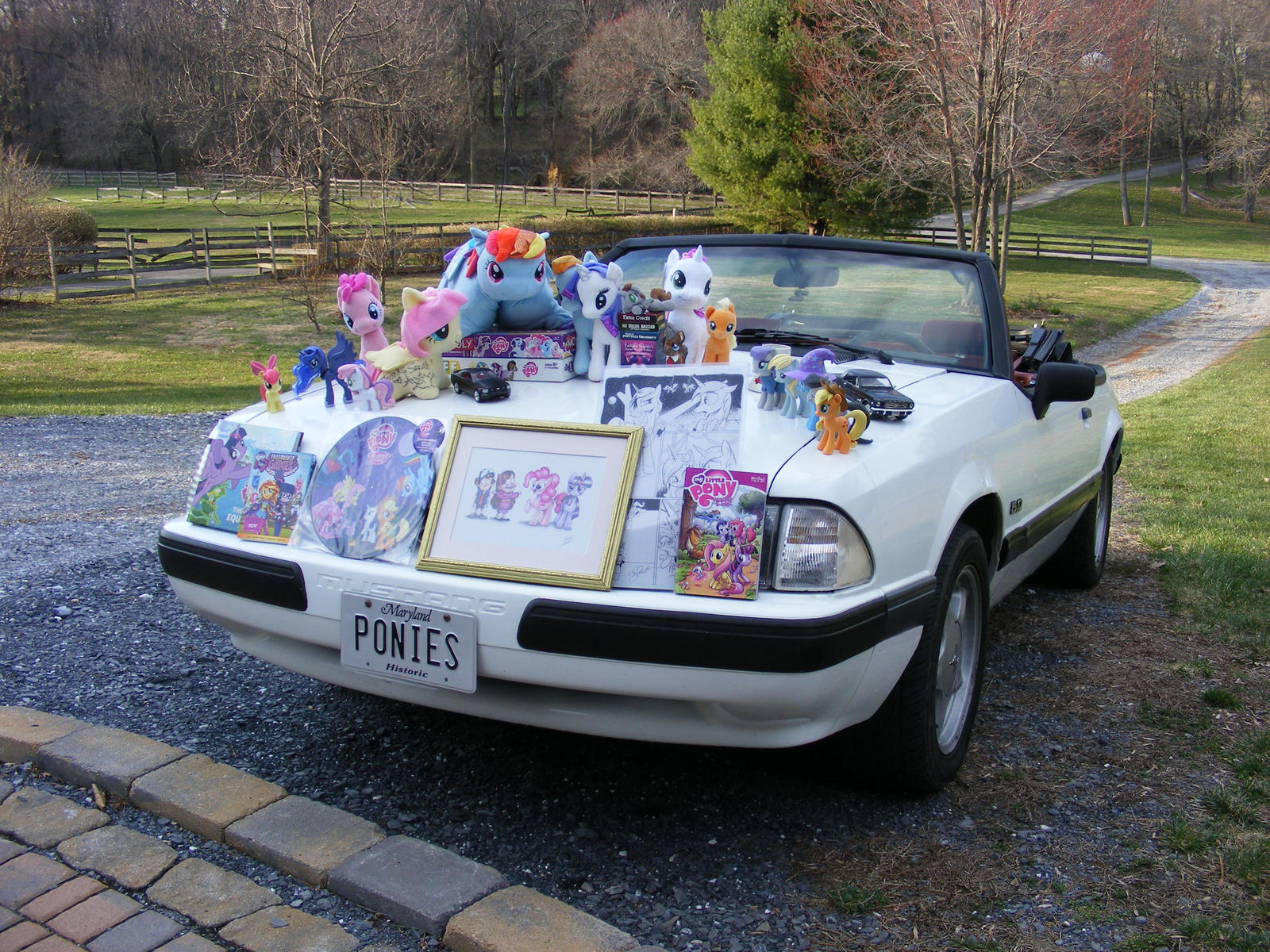 A Bunch of Pony Merchandise Piled Atop a Pony Car