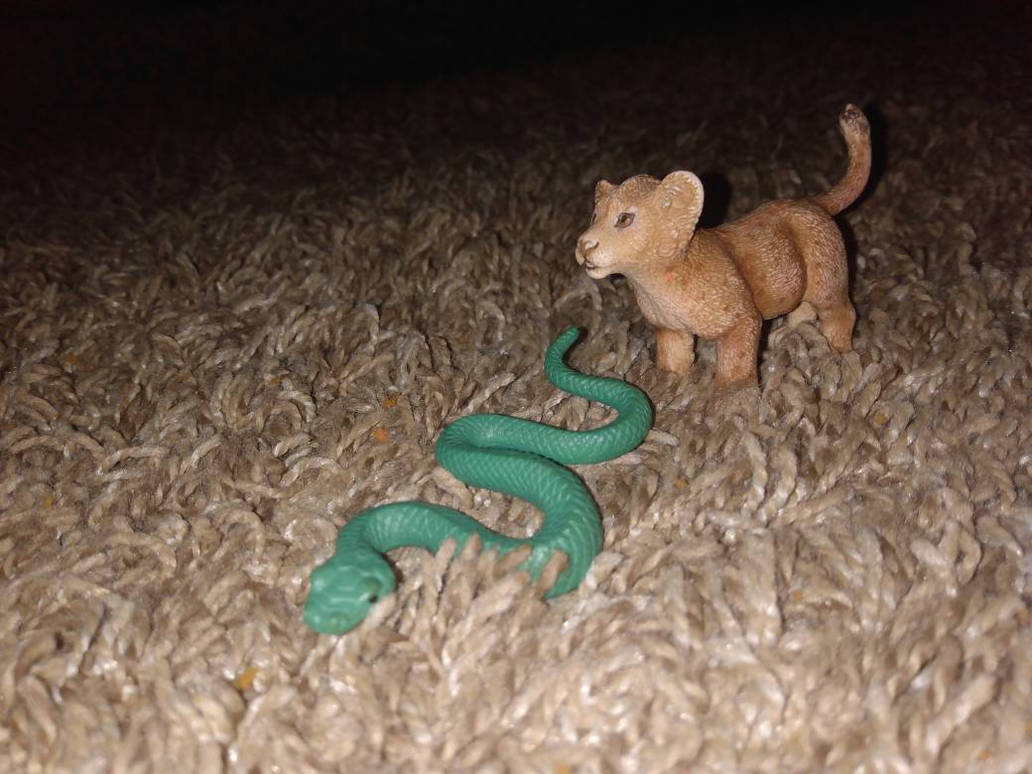 Simba and the snake by Jayrr11 on DeviantArt