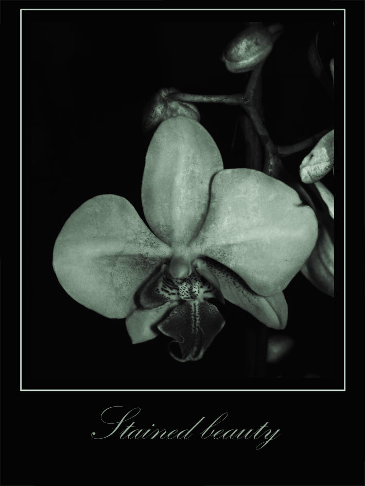 Stained beauty by Invocated on DeviantArt