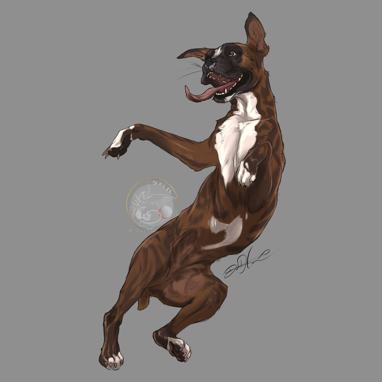 Deviantart Boxer Dog . boxer by TheTigerPurr on DeviantArt