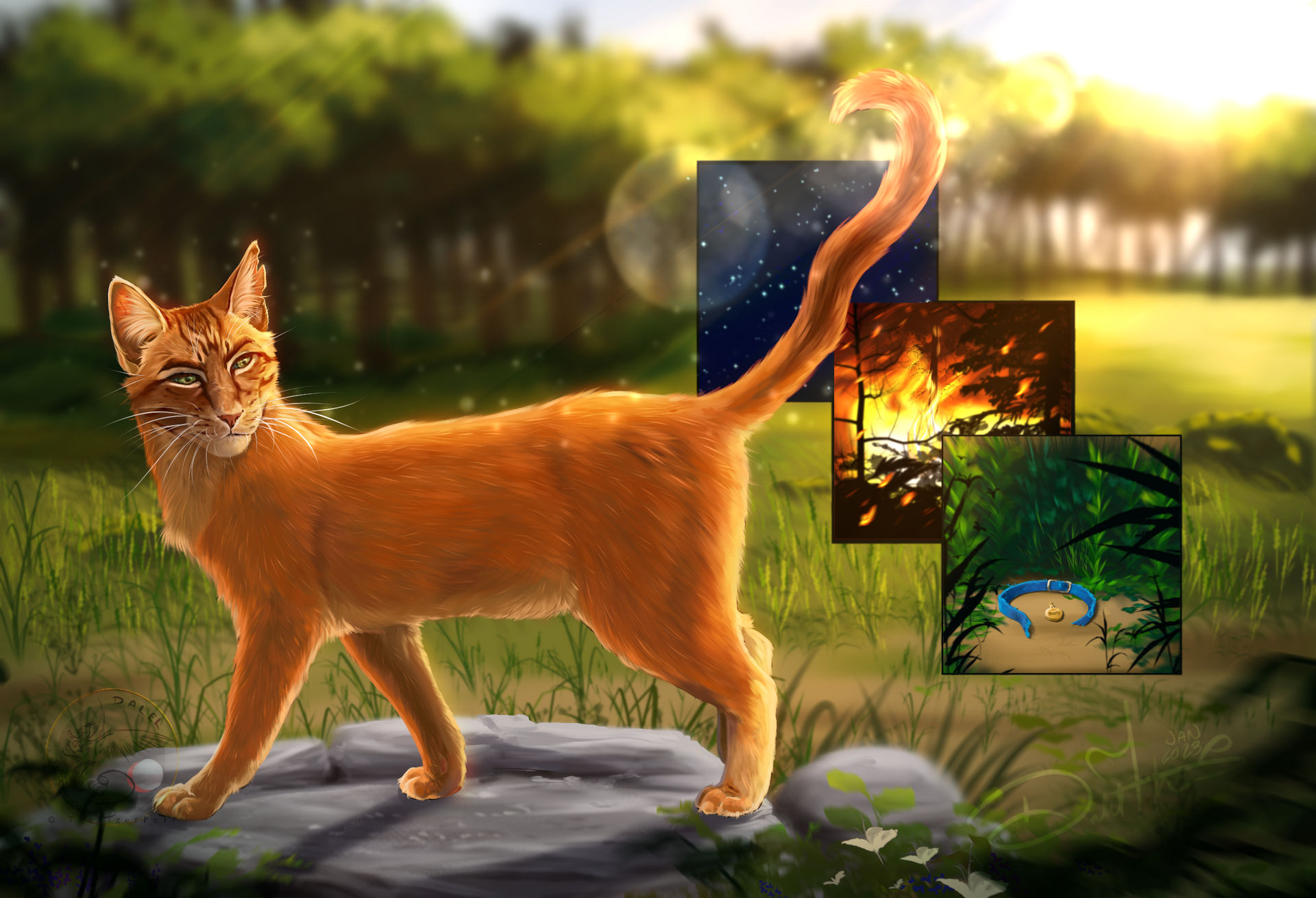 Firestar Realistic Deviantart Gatos Guerreiros Firestar