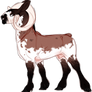 Vaati