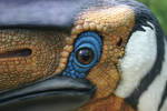 Quetzalcoatlus sp. by Fossilsmith