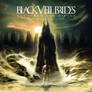 + Wretched And Divine Ultimate Edition BVB (CD)