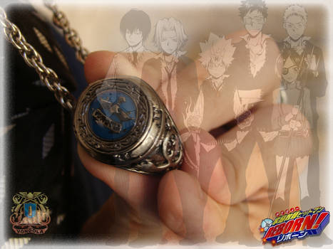 Vongola's Family