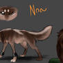 Noa: Wolf's Rain OC