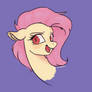 Flutter bat