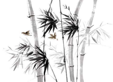 bamboo and birds