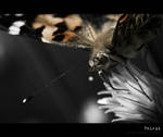 Thirst by Freq245