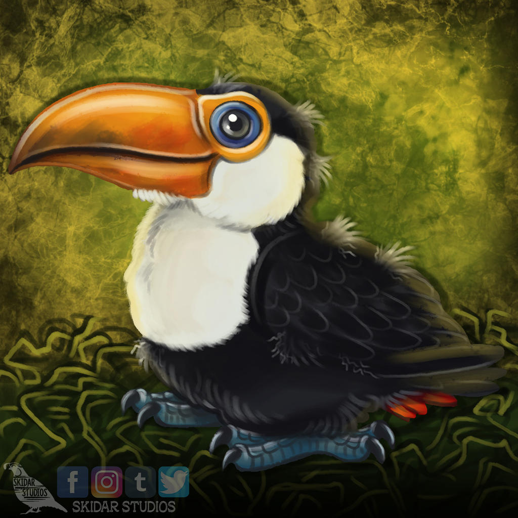 Baby Toco Toucan By Skidar On Deviantart Baby Toco Toucan By Skidar On Deviantart