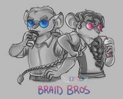 Braid Bros