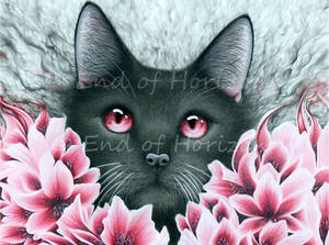 Inside Depression (red flower cat)