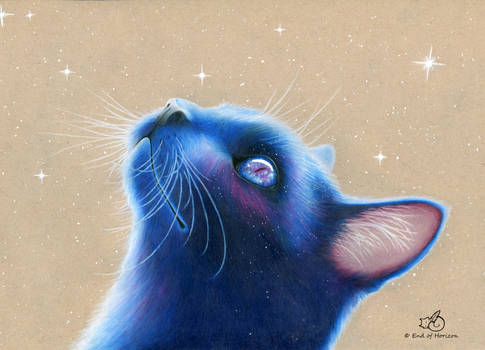 Blue Space Cat