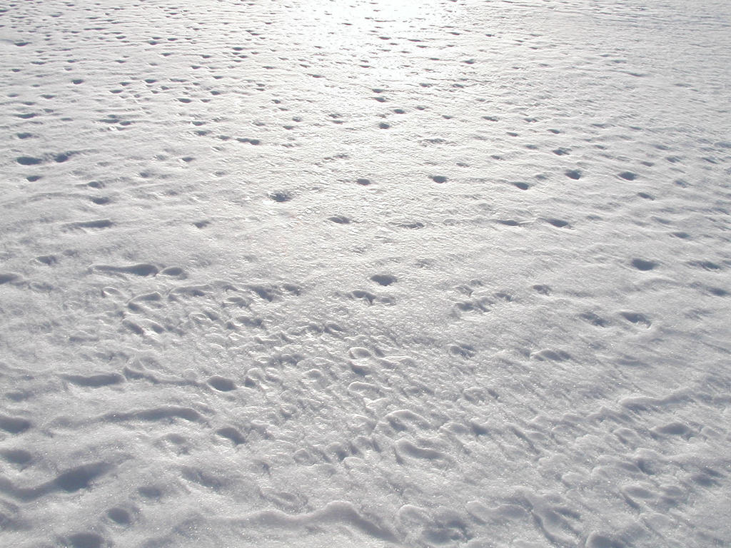 Snow Texture 3 by twig7998stock on DeviantArt