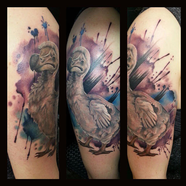 Dodo bird tattoo by OliviaMoonchildArt on DeviantArt