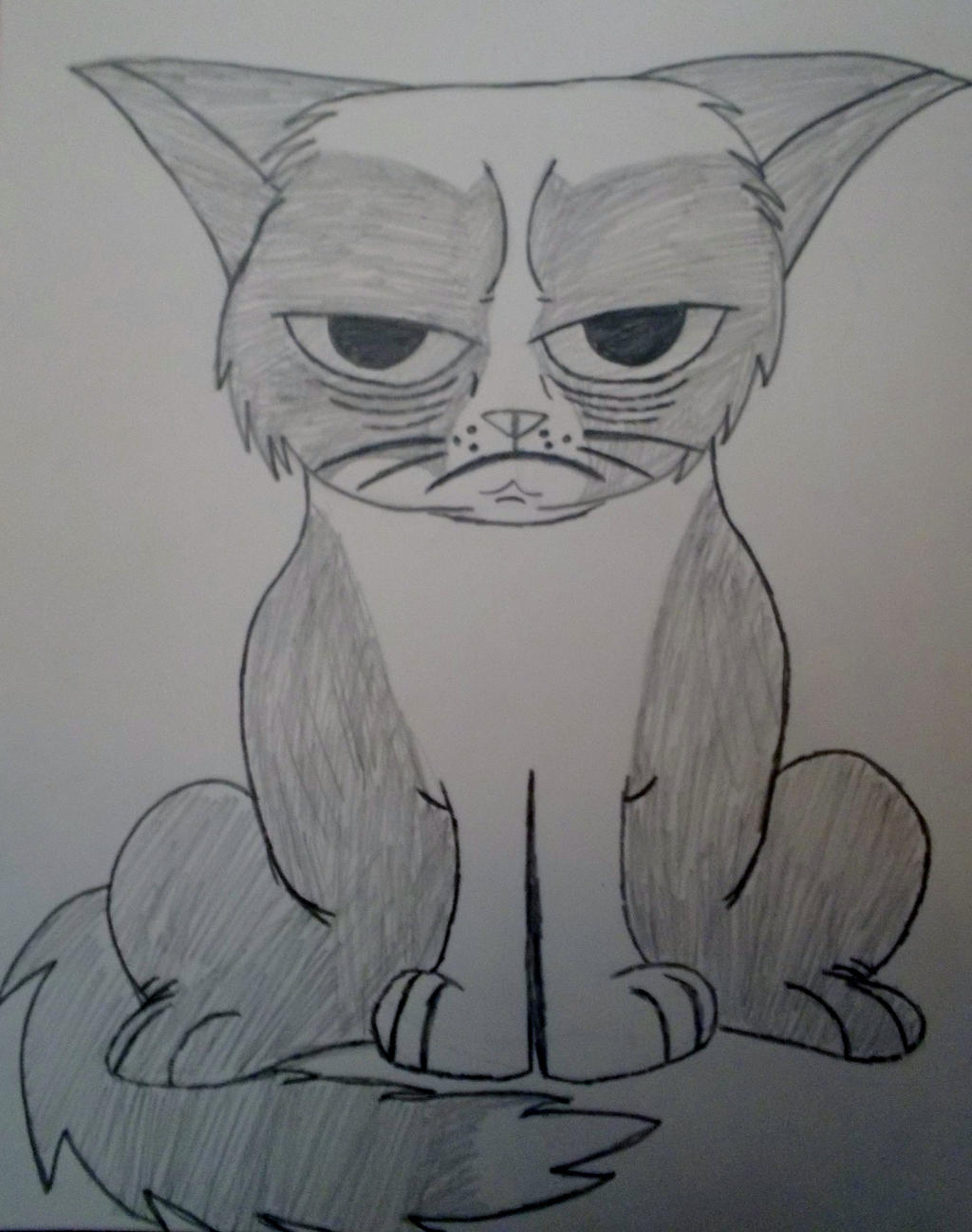 Grumpy Cat