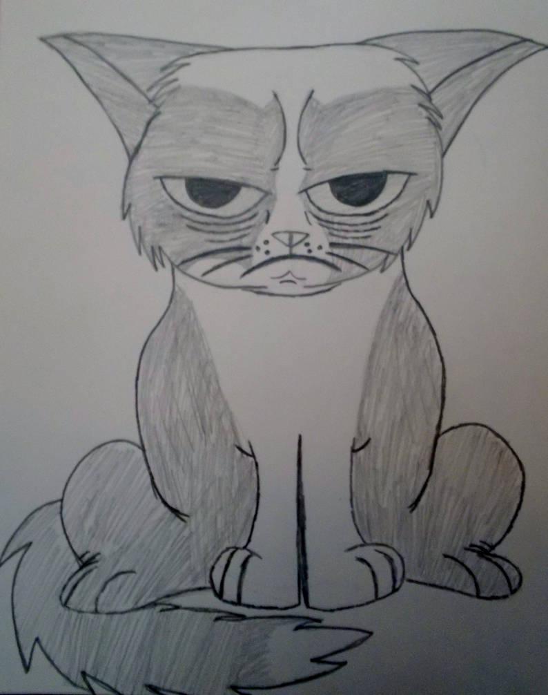 Grumpy Cat