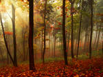 Premade Autumn BG by Tebh-stock