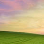 Premade BG - Field 1