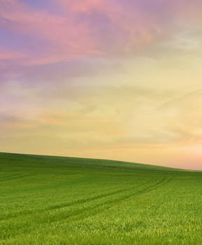 Premade BG - Field 1