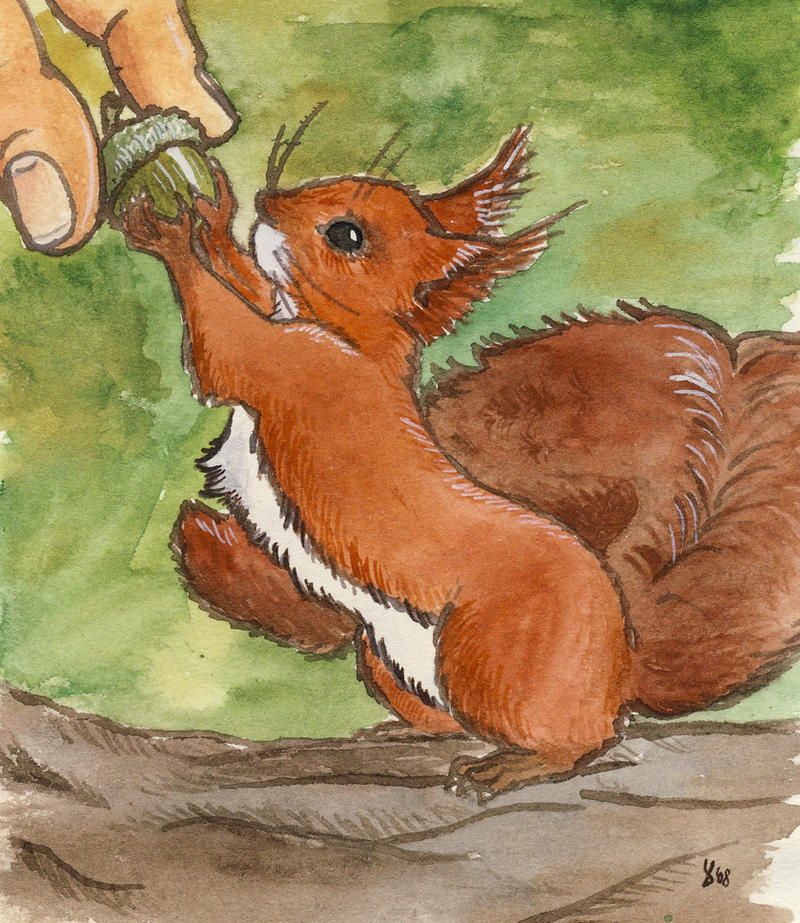 Squirrel Deviantart squirrel by littlelionpaw on DeviantArt