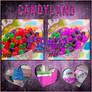 +CandyLand{PSD}