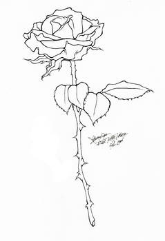 Rose Tattoo - Line Art