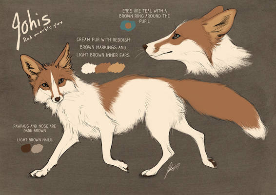 Johis the Fox, new ref