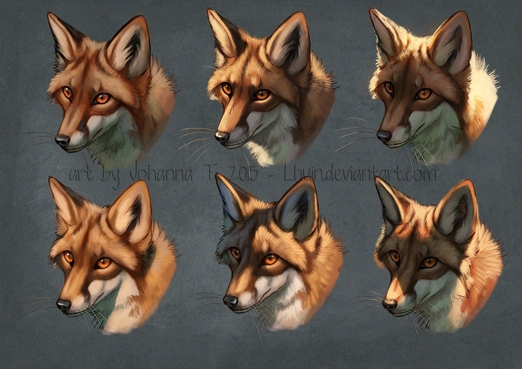 Light and shadow study by Lhuin