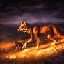 On the Prowl - Werewolf Calendar