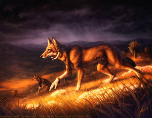 On the Prowl - Werewolf Calendar