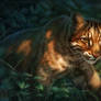 Shimmer of Gold