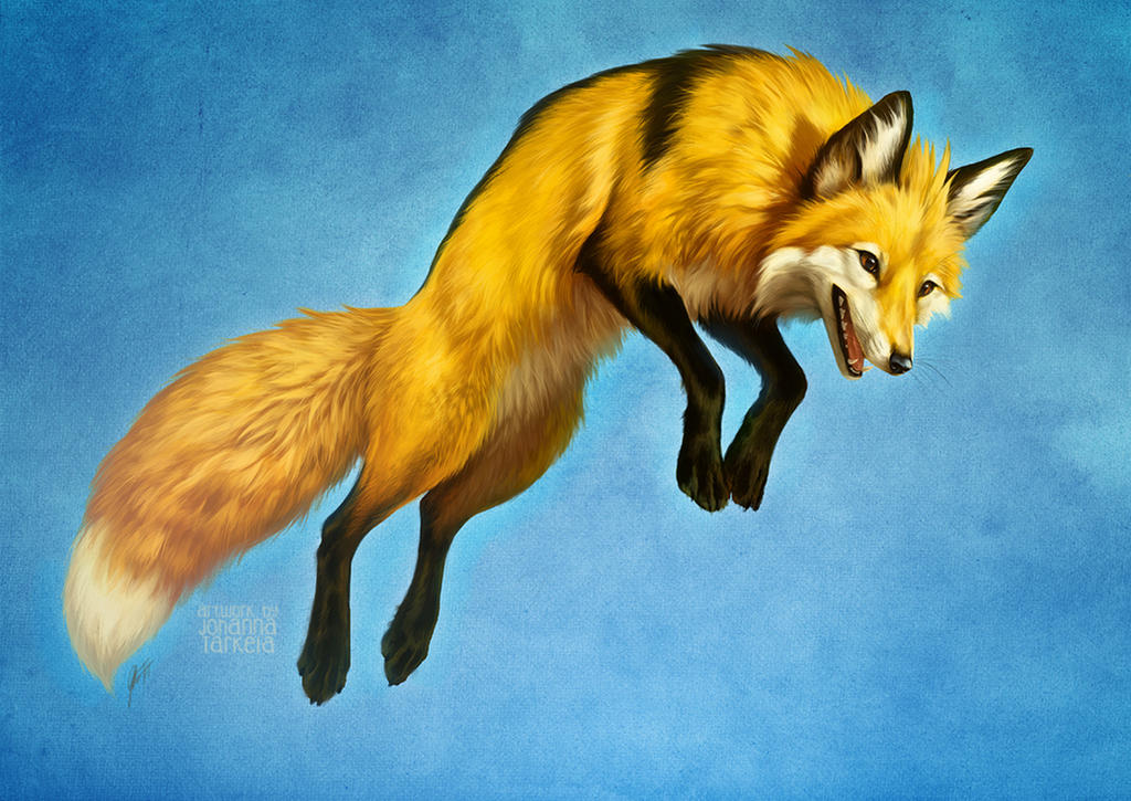 Bounce! by Lhuin