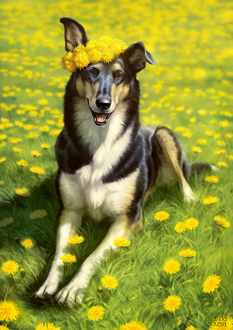 Dandelions by Lhuin