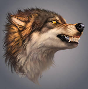 Explore The Best Angry Art Deviantart Explore The Best Angry Art Deviantart