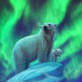 Polar Night