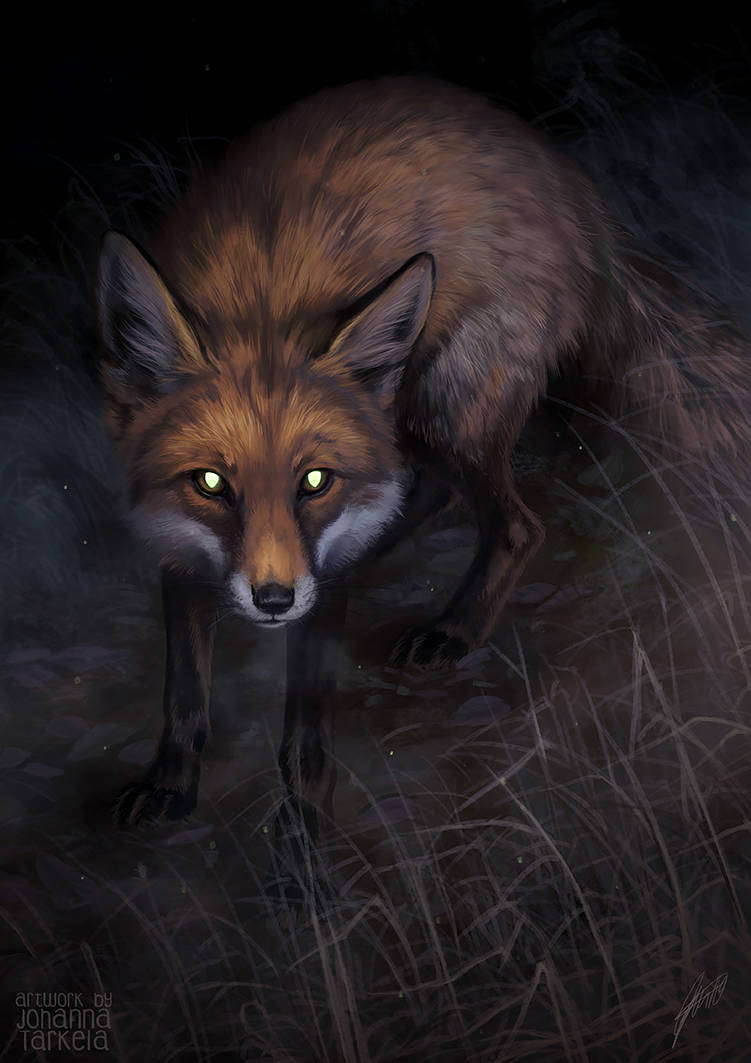 Dark fox. Злой Лис. Лисица арт. Лиса арты. Злая лиса.