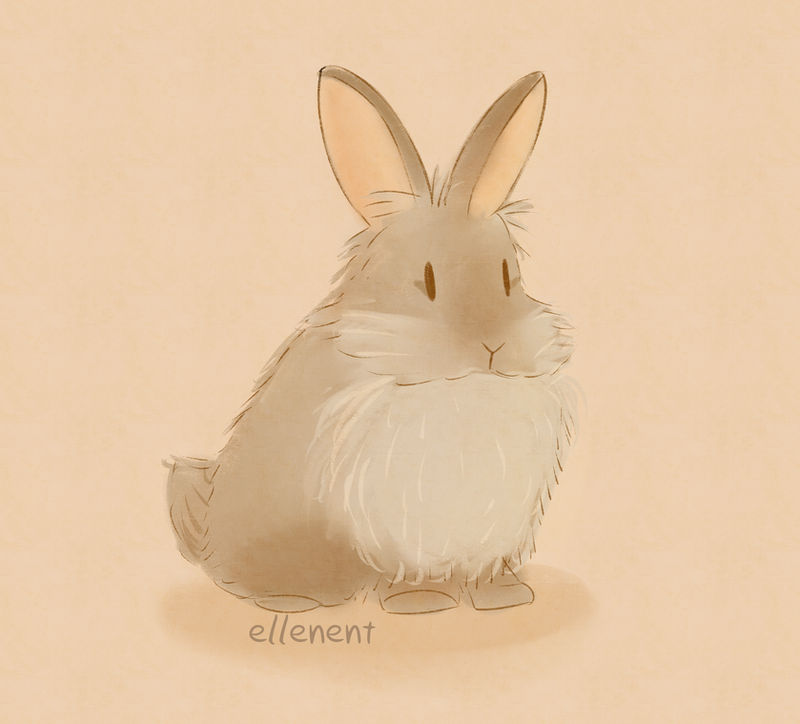 Lionhead Bunny by ellenent on DeviantArt