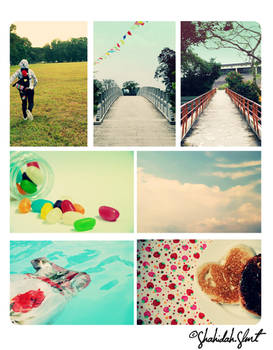 Love Photography  Thumbnails