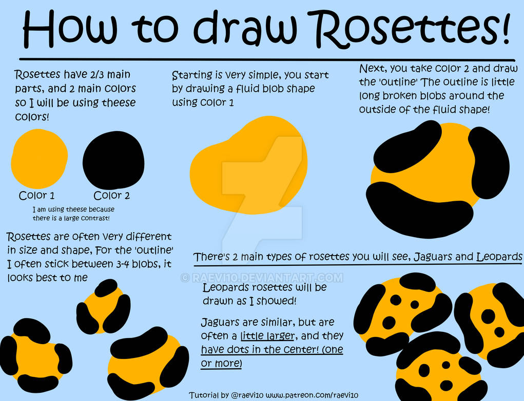 How To Draw Rosettes by raevi10 on DeviantArt