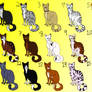 Natural Cat Adopts-Open