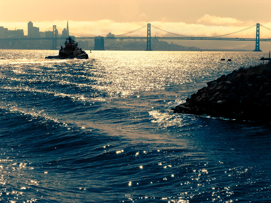 San Francisco Skyline Duotone