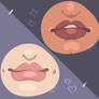 Lip Studies