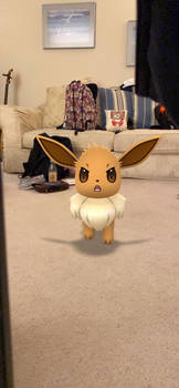 Eevee from Pokmon go