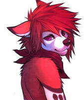 Female Anime Wolf by 0o0Glory0o0 on DeviantArt