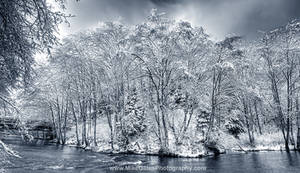 Ketchikan Creek BW Winter